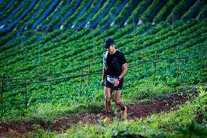 BIB: 
                            <button type="button" onclick="openModal(19159907)" class="btn btn-primary btn-sm float-right btn-popup" data-toggle="modal" data-target=".modal-high-quality">
                        <i class="fas fa-shopping-cart"></i> Add to Cart
                    </button>
                                            <button type="button" onclick="isThisMe(19159907, true)" class="btn btn-success btn-sm float-right btn-popup btn-isme hidden" data-toggle="tooltip" data-placement="bottom" title="นี่คือรูปของคุณใช่ไหม คลิกที่นี่เพื่อเอาเข้าอัลบั้ม">
                        <i class="fas fa-plus"></i> Add to album
                    </button>
                    <button type="button" onclick="isThisMe(19159907, false)" class="btn btn-warning btn-sm float-right btn-popup btn-isnotme hidden">
                        <i class="fas fa-ban"></i> Remove from album
                    </button>